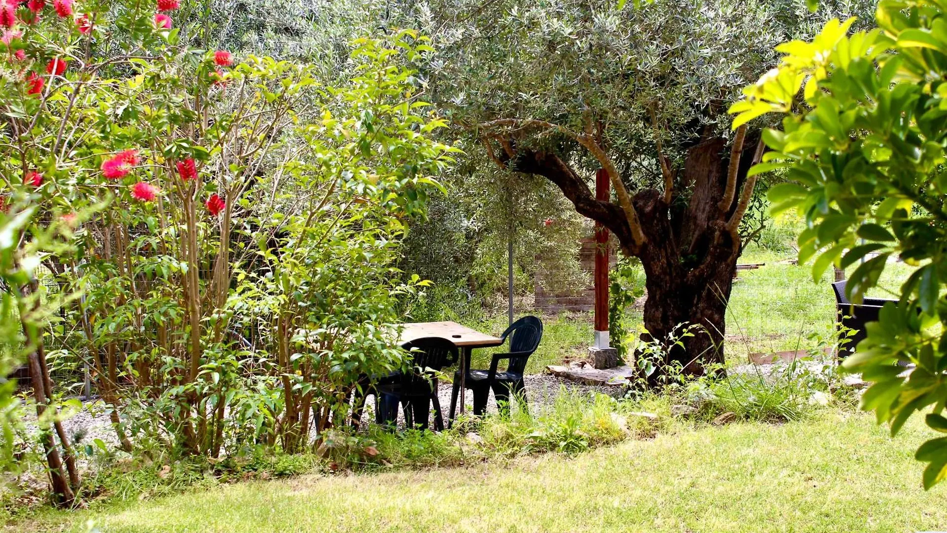 Villa Pelau - Holiday Home Jerzu