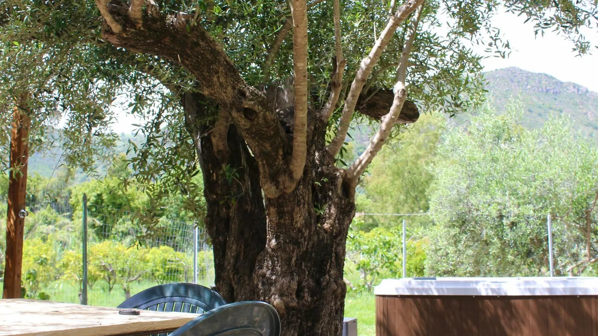 Villa Pelau - Holiday Home Jerzu 0*,